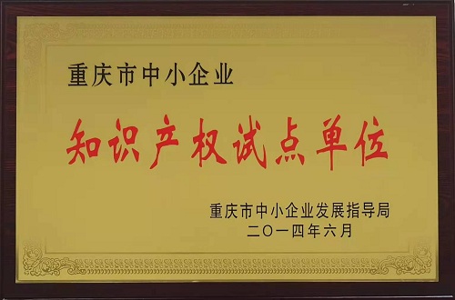 知識產(chǎn)權(quán)試點(diǎn)單位