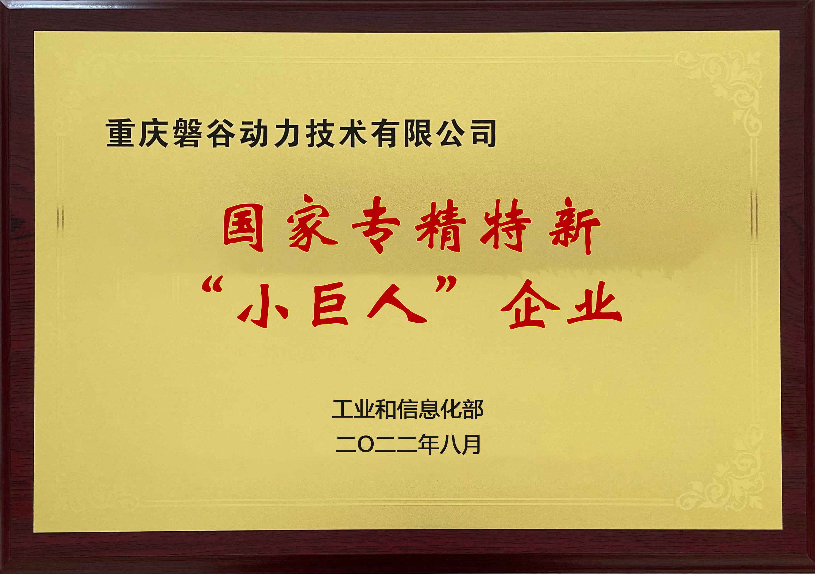 國家專精特新小巨人企業