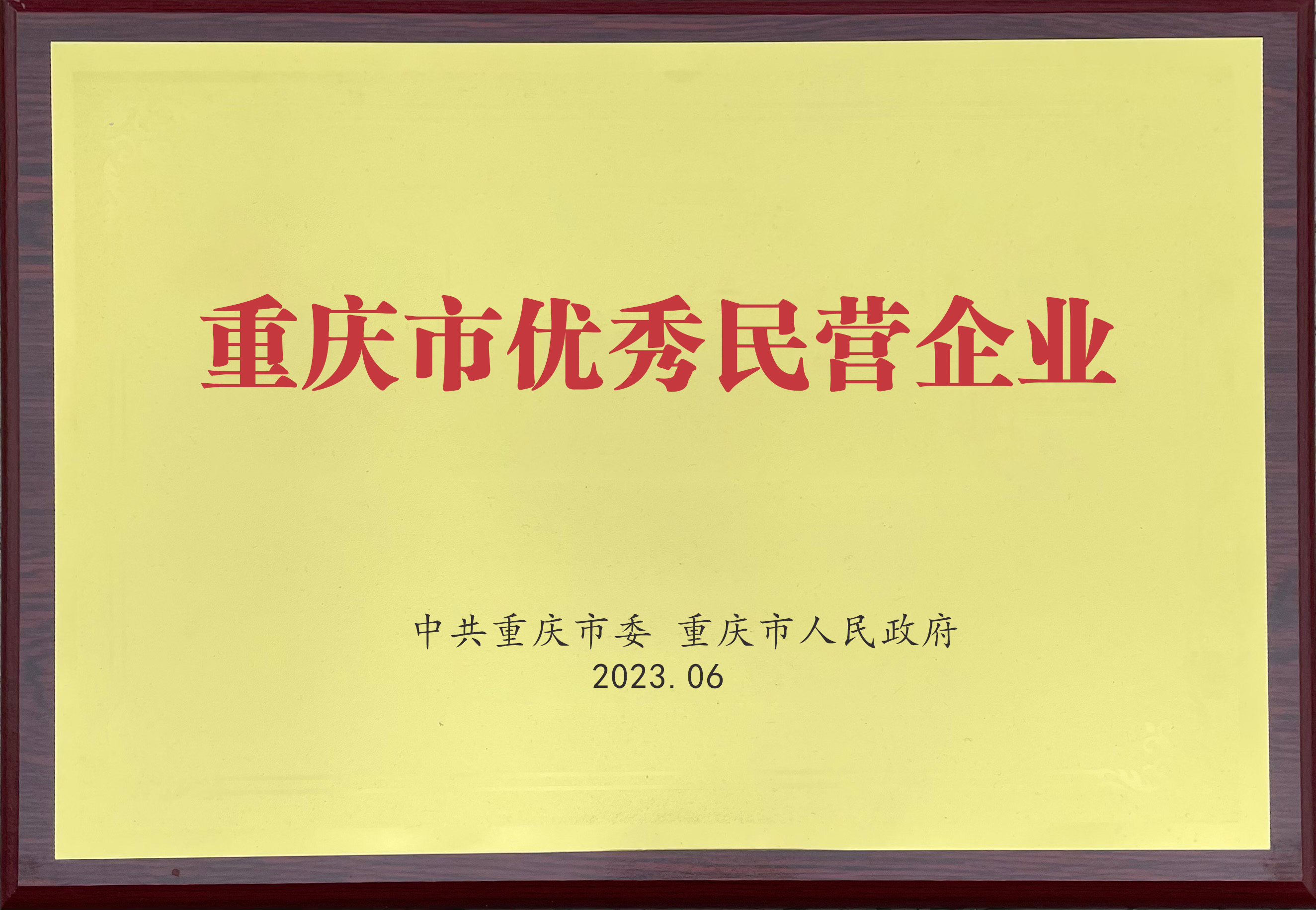 重慶市優秀民營企業