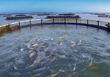 1611623293278907.png image.png